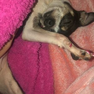 Meet your Posher, Crystal